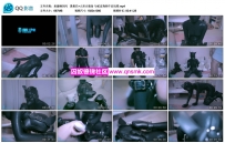 泉蜜蜂闪闪 黑曼巴+人形犬装备 与蛇皮狗狗午后玩耍